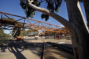 Deakin University Burwood pedestrian bridge uses BlueScope REDCOR® weathering steel to deliver a practical, paint-free structure requiring minimal maintenance compared with conventional structural steel